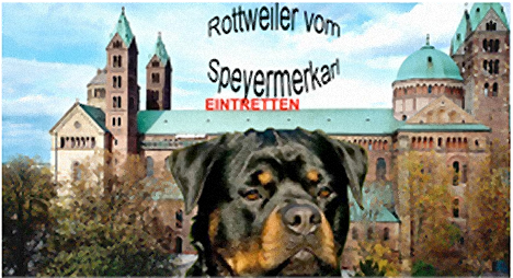 http://www.rottweiler-vomspeyermerkarl.de/