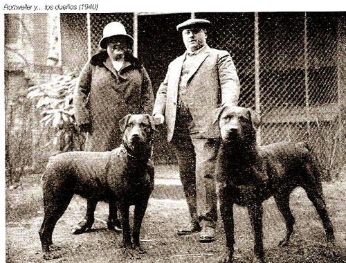 Storia Rottweiler Allevamento aus der Krummholz Rottweiler Club Italiano