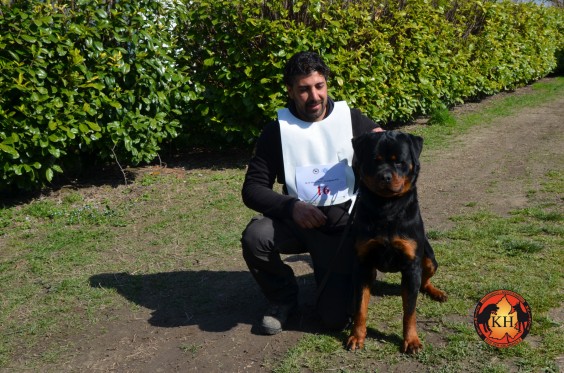 “La Tana dei Lupi – aus der Krummholz” Allevamento( Rottweiler Malinois) Addestramento Pensione cani Torino Piemonte Centro Cinofilo
